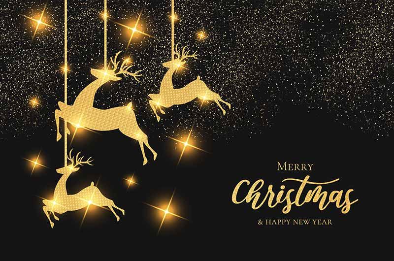 Merry Christmas Comes From Midi Industrial