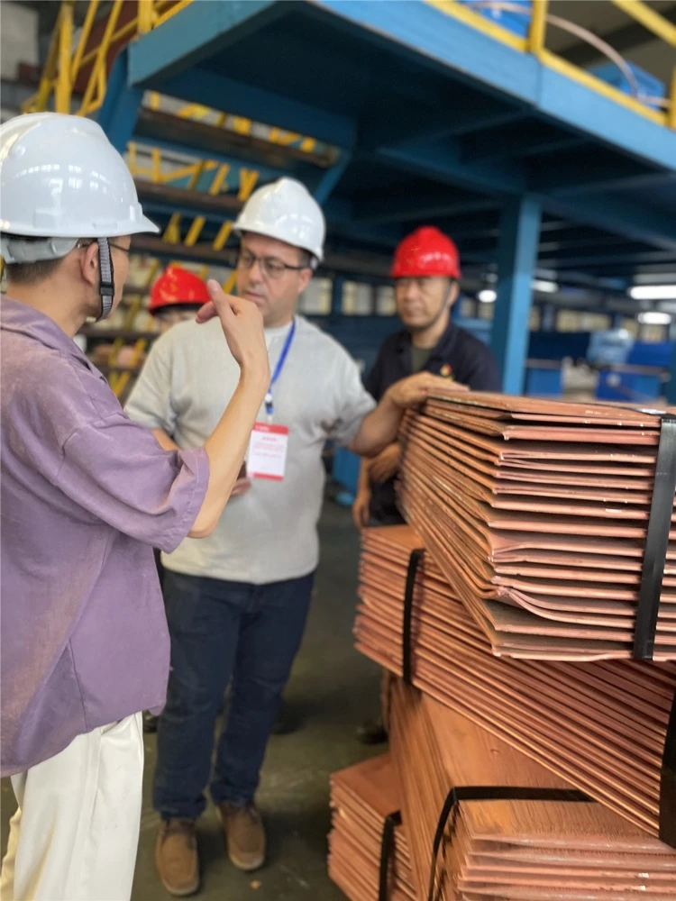 UK Clients Visit Midi Industrys Oxygen-Free Copper Factory 01 UK Clients Visit Midi Industrys Oxygen-Free Copper Factory 01