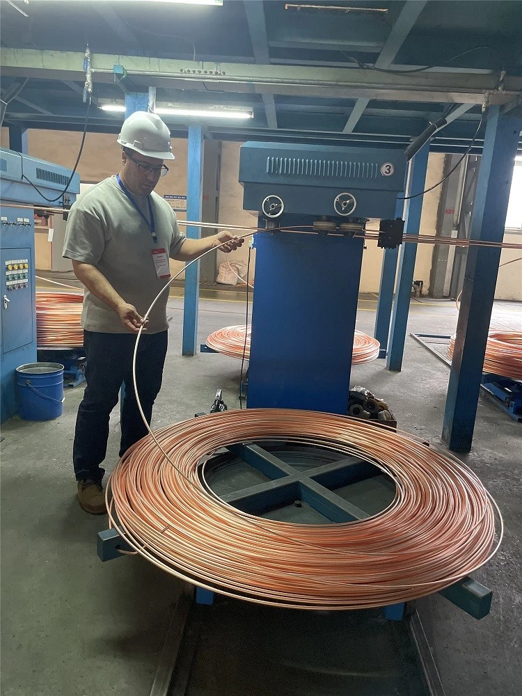 UK Clients Visit Midi Industrys Oxygen-Free Copper Factory 02 UK Clients Visit Midi Industrys Oxygen-Free Copper Factory 02